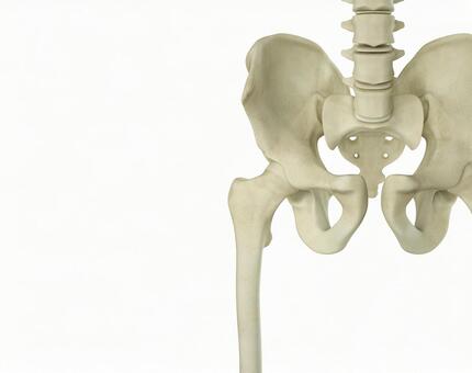 骨盤の歪み方と骨盤矯正